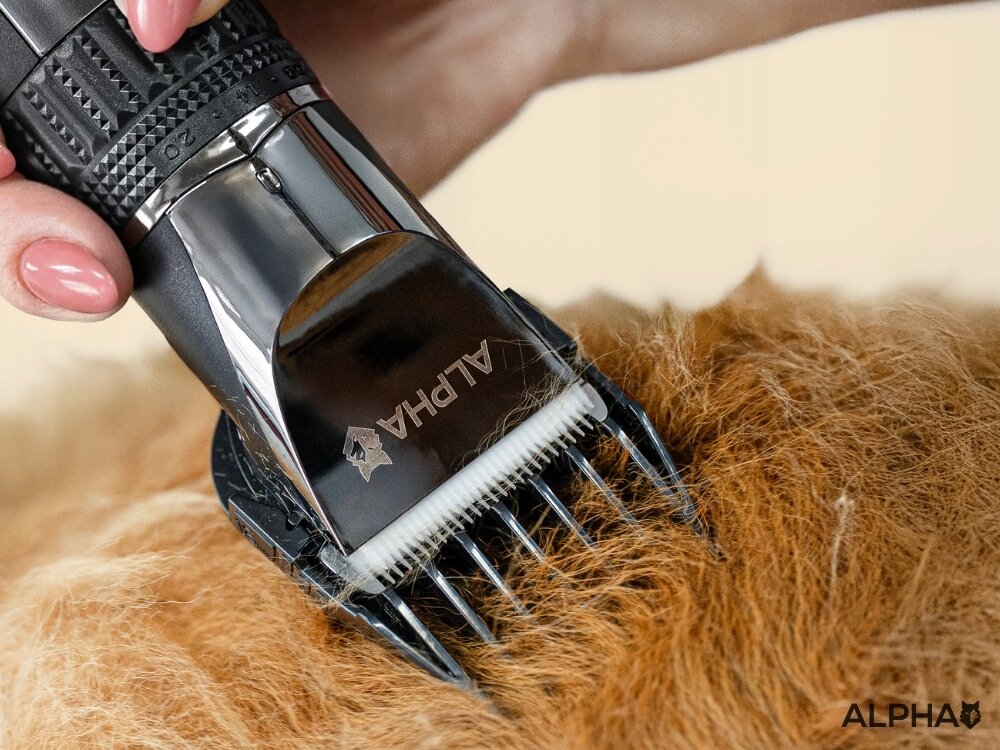 Maszynka do strzyżenia psów ALPHA DGX-04 pielegnacja w domowych warunkach, ostrze tytanowo-ceramiczne, delikatne dla skóry pupila