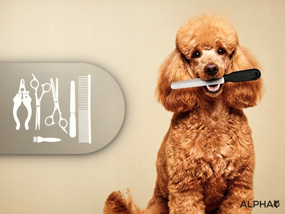 Maszynka do strzyżenia psów ALPHA DGX-04 mocny silnik, odpowiednia moc, płynna praca