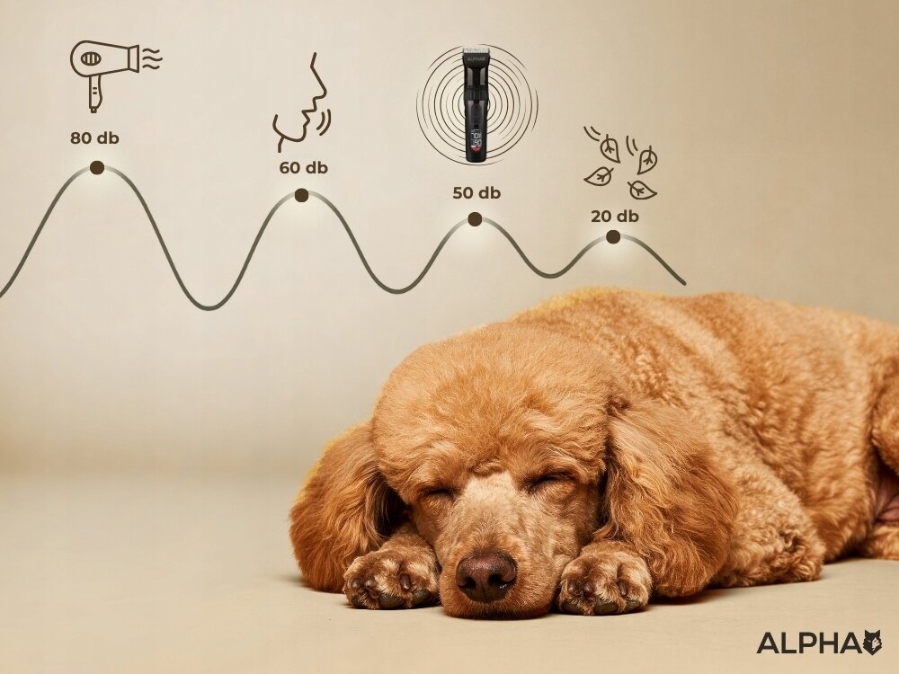 Maszynka do strzyżenia psów ALPHA DGX-04 niski poziom hałasu, cicha praca, pomaga ograniczyć stres