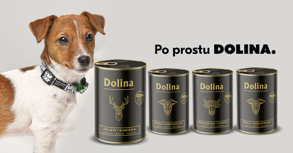 Karma dla psa DOLINA NOTECI z wołowiną i indykiem 400 g Pies rasy Jack Russell Terrier obok czterech puszek karmy dla psa Dolina o różnych smakach: jeleń z kaczką, koza z wołowiną oraz wołowina z indykiem.