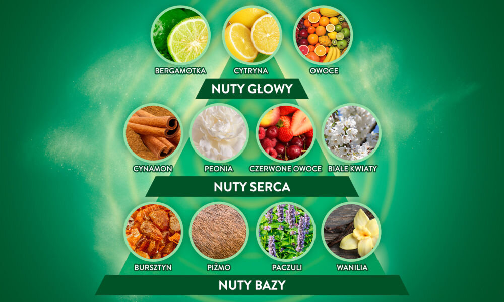 Obraz przedstawia piramidę zapachową z trzema poziomami: nuty głowy (bergamotka, cytryna, owoce), nuty serca (cynamon, peonia, czerwone owoce, białe kwiaty) i nuty bazy (bursztyn, piżmo, paczuli, wanilia). Każdy składnik jest zilustrowany zdjęciem i podpisany.
