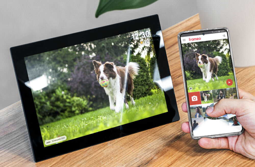 Ramka cyfrowa KRUGER&MATZ KM1100 Frameo 10.1 cala Czarny prezentacja ramki ze zdjęciem psa biegnącego z piłką w pysku na szafce obok telefon z włączoną aplikacją FRAMEO bezpośrednie przesyłanie zdjęć i filmów ze smartfona