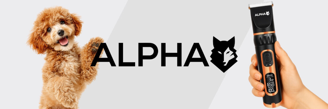 Maszynka do strzyżenia zwierząt ALPHA DG-3X bezprzewodowa wygląd design prezentacja wizualizacja pielęgnacja pupila w domu