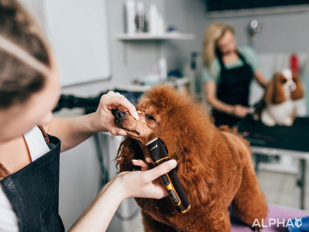 Maszynka do strzyżenia zwierząt ALPHA DG-3X bezprzewodowa Wygoda użytkowania Bezprzewodowa konstrukcja do 4 godzin na jednym ładowaniu zasilanie sieciowe ciągłość działania wąskiej końcówce do detali precyzja wokół łap, pyska i uszu efekt