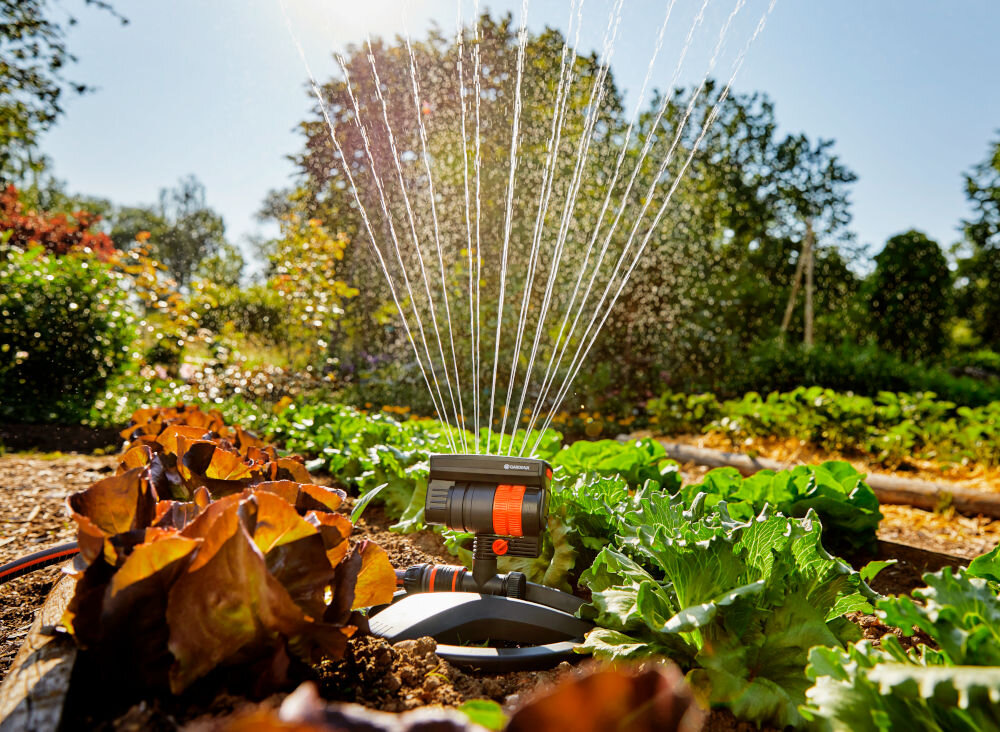 Zraszacz wahadłowy GARDENA Aquazoom Compact ogród rabaty warzywne zraszacz podlewa rośliny w tle niebo drzewa wygodne i efektywne podlewanie równomiernie rozprowadza wodę na powierzchni oszczędność czasu i wody