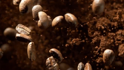 Zbliżenie na ziarna kawy.