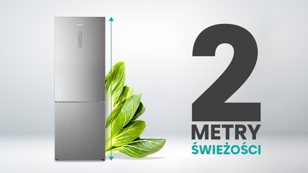 LODÓWKA HISENSE RB645N4BIE 2 metry świeżość pojemność innowacja technologia