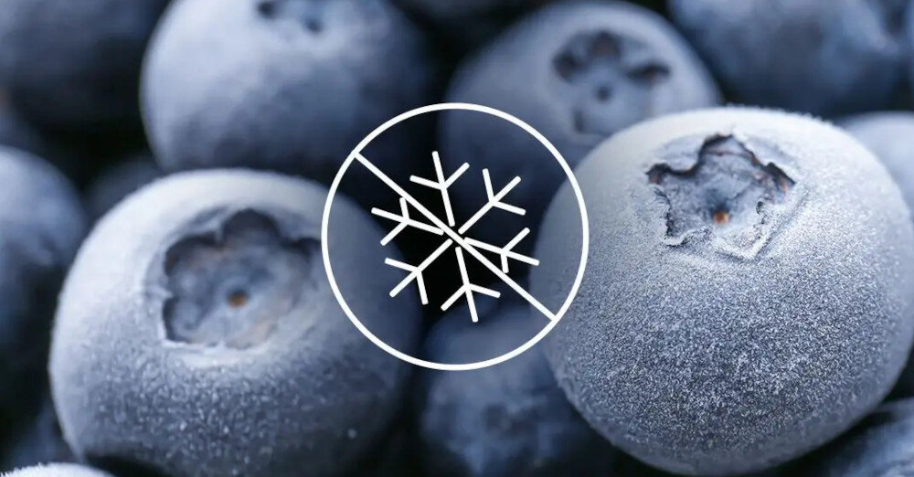 LODÓWKA HAIER HTR3619FNMN