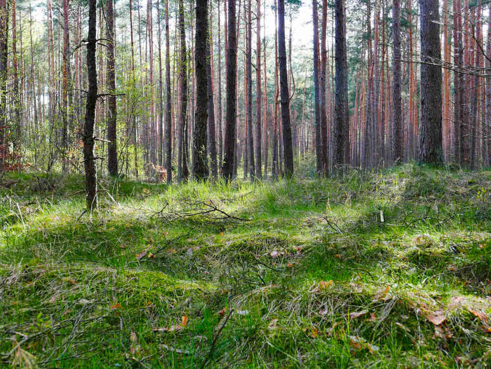 Nawilzacz ultradzwiekowy DEERMA F500 zalety atuty atmosfera relaks nawilzenie