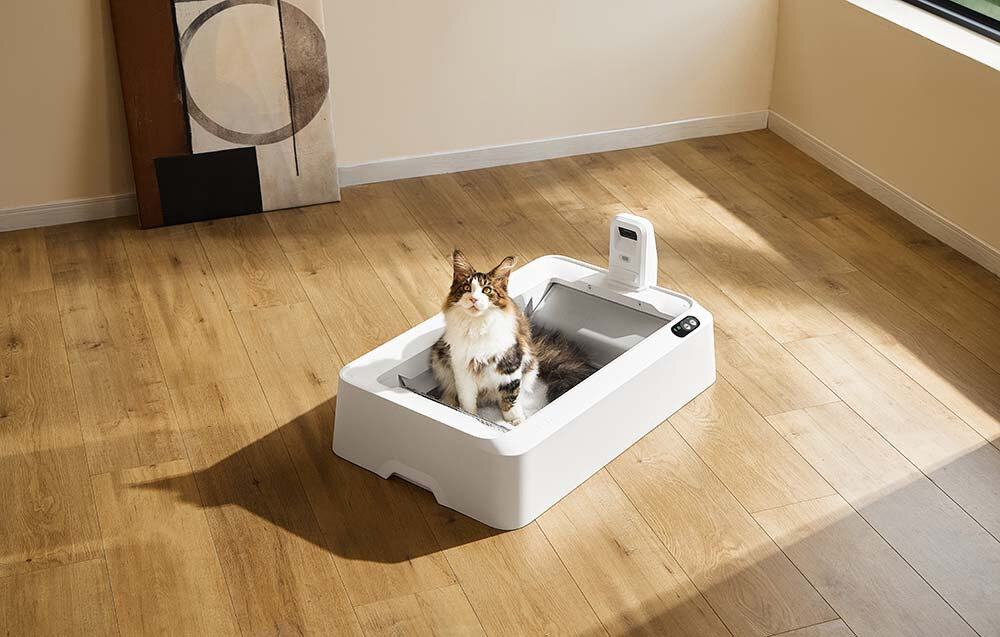 Inteligentna kuweta dla kota PETKIT Purobot Crystal Duo Świeżość w domu na długo atmosfera dostosowanie Zamknięta konstrukcja  bezpieczna dla zwierząt