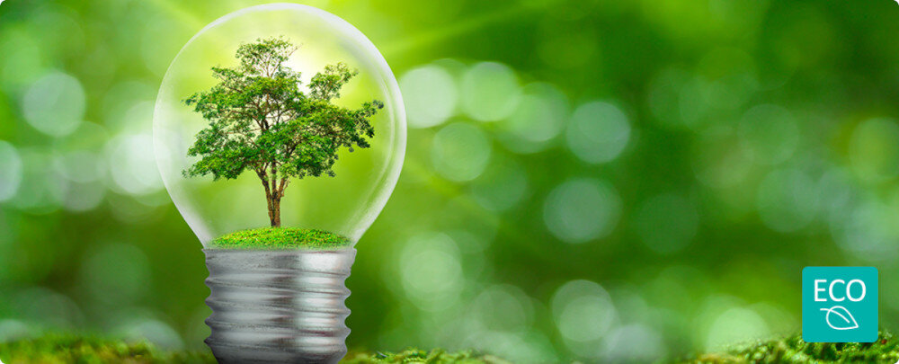 LODÓWKA GORENJE NRR9185EABXLWD wizualizacja zieleń żarówka natura ikona EcoMode oszczędzanie energii EcoMode kontrolka