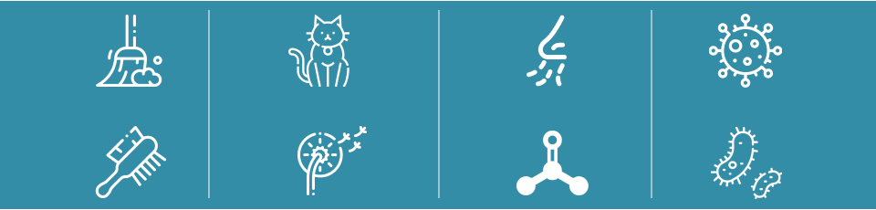 Pozbywa się bakterii i alergenów