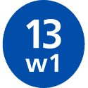 Niebieskie koło z białym tekstem \'13 w 1\'.