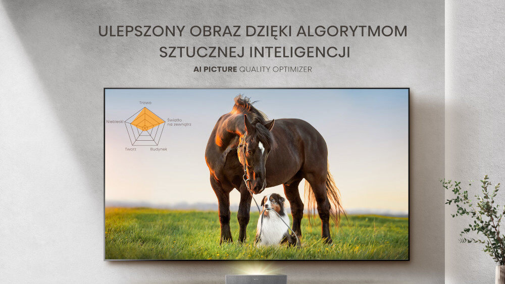 Laser TV HISENSE L5H  - optymalizacja