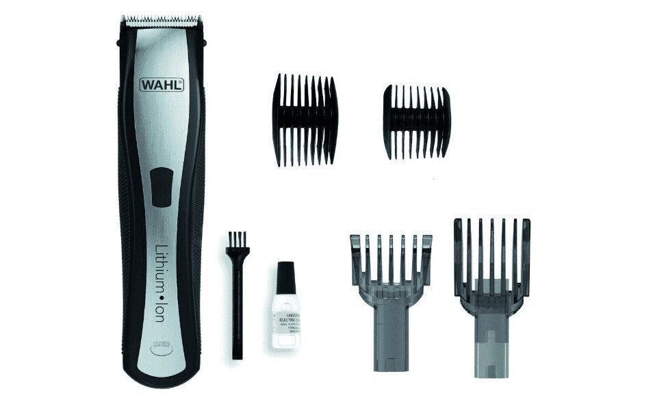 strzyzarka wyglad ogolny i cechy