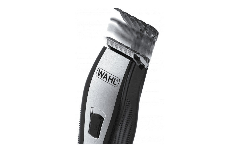 strzyzarka wyglad ogolny i cechy