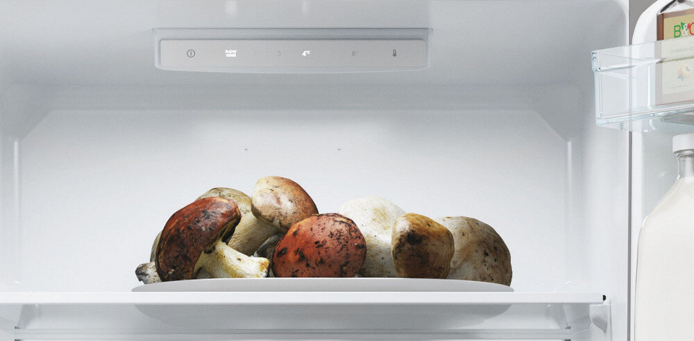 LODÓWKA CANDY CCT3L517ES sterowanie mechaniczne pokrętło ustawienia temperatura liczby