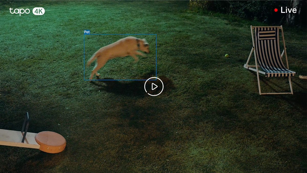 TP-LINK Tapo C560WS System SI rozpoznawać ludzi, zwierzęta oraz pojazdy alerty - pies w nocy na ogrodzie