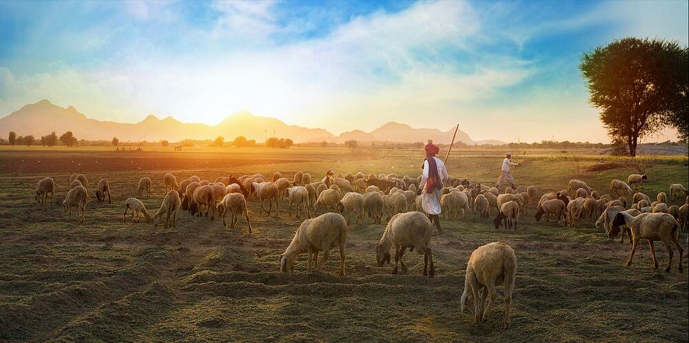 Smartfon DOOGEE V20  ekran bateria aparat procesor ram pamięć pojemność rozdzielczość zdjęcia filmy opis dane cechy blokady system łączność wifi bluetooth obudowa szkło odporność porty muzyka transfer sieć przekątna matryca waga czujniki