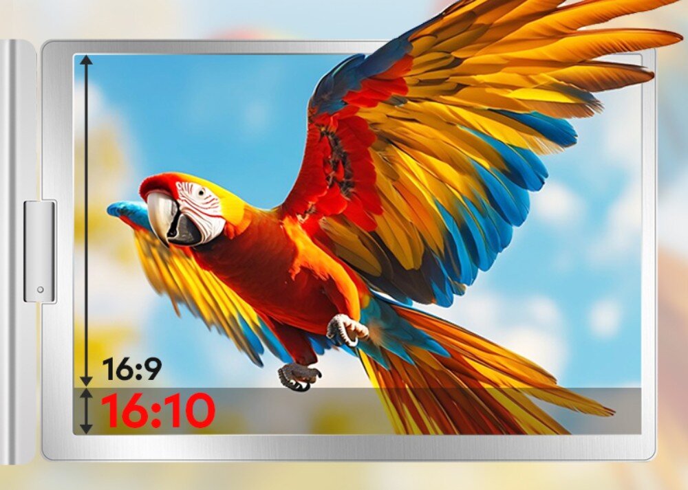 Monitor EXTRALINK Smart Life S780 Zbliżenie na ekran z wyświetlonym w locie kolorowym papugiem. Obok zaznaczone porównanie proporcji ekranu 16:9 i 16:10, parametry, rozdzielczość, przekątna, kolory