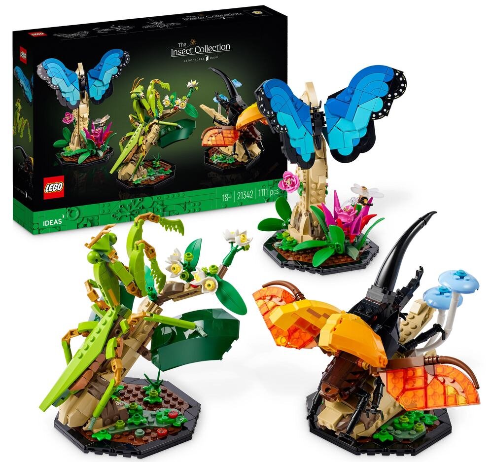 LEGO 21342 Ideas Kolekcja owadów    