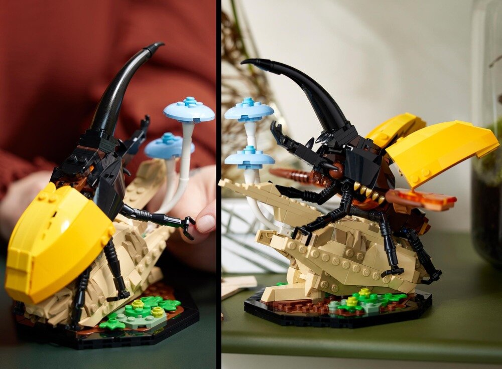 LEGO 21342 Ideas Kolekcja owadów   Ruchome 