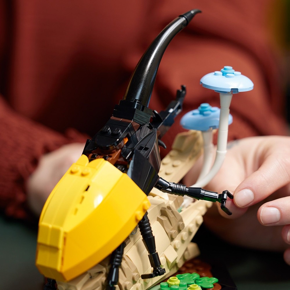 LEGO 21342 Ideas Kolekcja owadów  chrząszcz  