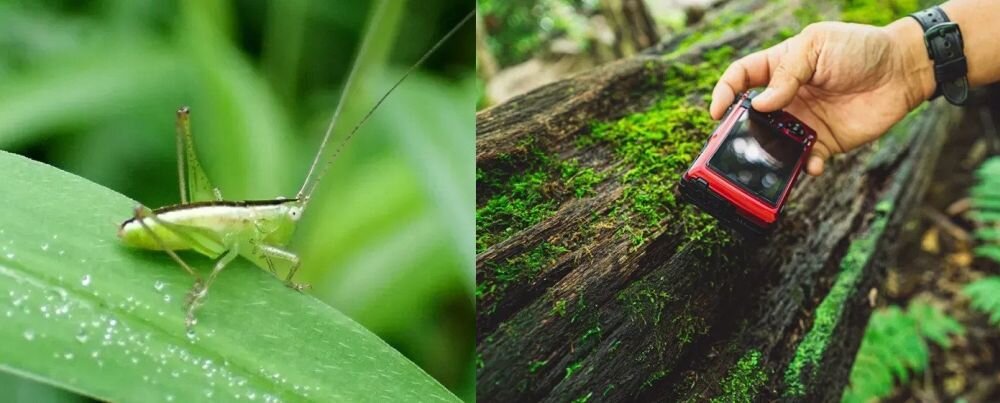 Aparat OLYMPUS OM System TG-7   zdjęcia obiektyw ekran wizjer ogniskowa przysłona migawka obudowa bateria zasilanie filmy nagrywanie rozdzielczość matryca rozmiar przekątna tryby iso montaż lampa światło przyciski sterowanie menu kontrast jasność balans bieli filtry cmos karta pliki format zapis seria