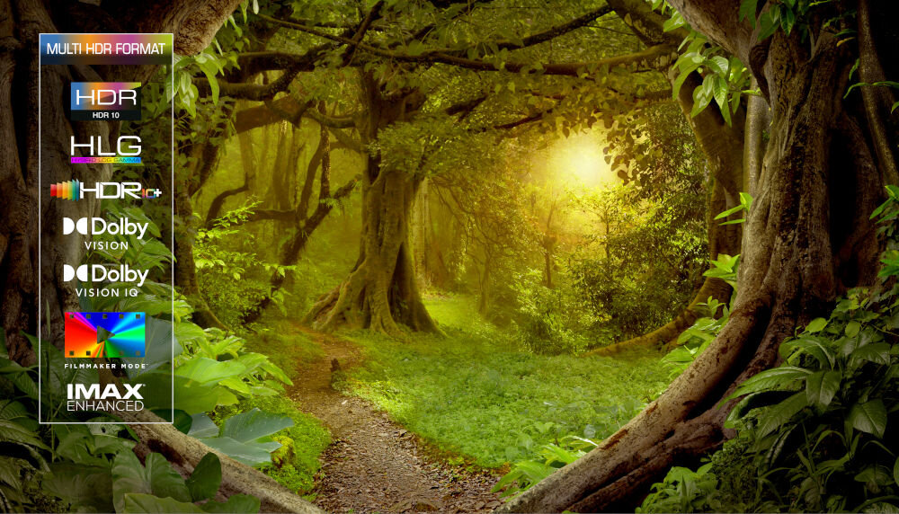 Telewizor TCL 98C8K - Pełne wsparcie dla HDR, HDR10, HDR10+, HLG, Dolby Vision i Dolby Vision IQ, IMAX Enhanced, Filmmaker Mode, zielony las