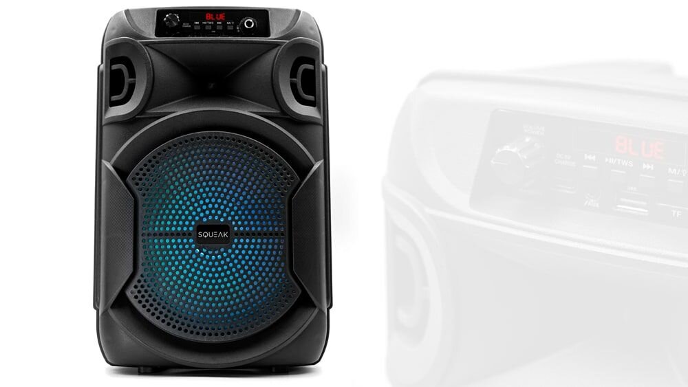 Głośnik mobilny SQUEAK SQ1006 Radio FM - glosnik na bialym tle z widocznym frontem, glosnik , moc , czystosc, pasmo przenoszenia, dzwiek, detale