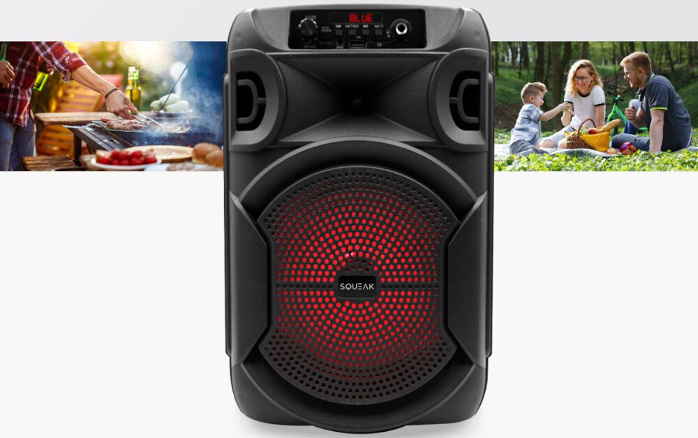 Głośnik mobilny SQUEAK SQ1006 Radio FM - glosnik z widocznym frontem, wymiary, kontrola, wyswietlacz led