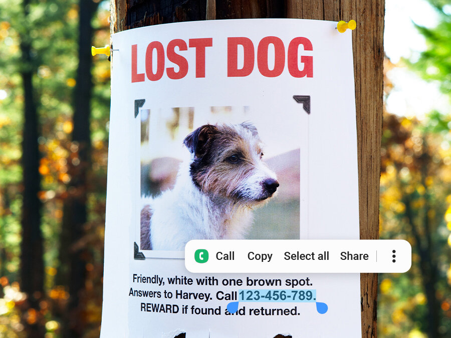 Widok z aparatu z funkcją wyodrębniania tekstu przedstawia ulotkę zaginionego psa umieszczoną na drzewie. Funkcja wyodrębniania tekstu wyodrębnia numer telefonu z ulotki i udostępnia opcje Zadzwoń, Kopiuj, Zaznacz wszystko, Udostępnij i inne.