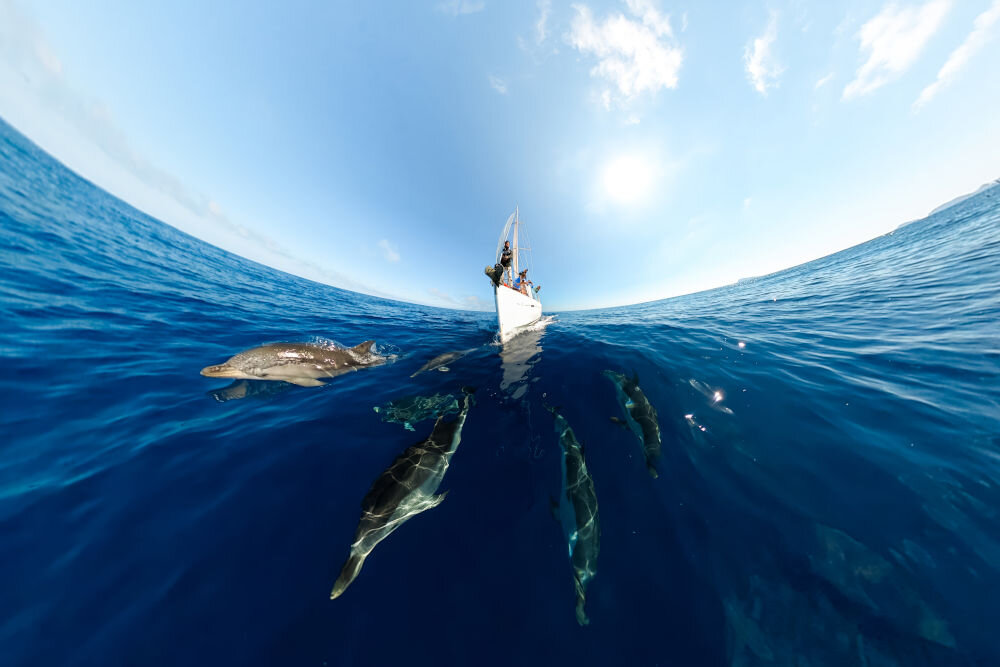 Kamera sportowa GOPRO MAX 360, 5.6K 30 FPS, Wi-Fi, Bluetooth delfiny płynące przed łodzią tryb powerpano zdjęcia panoramiczne kąt 270 stopni jakość 6,2 MP