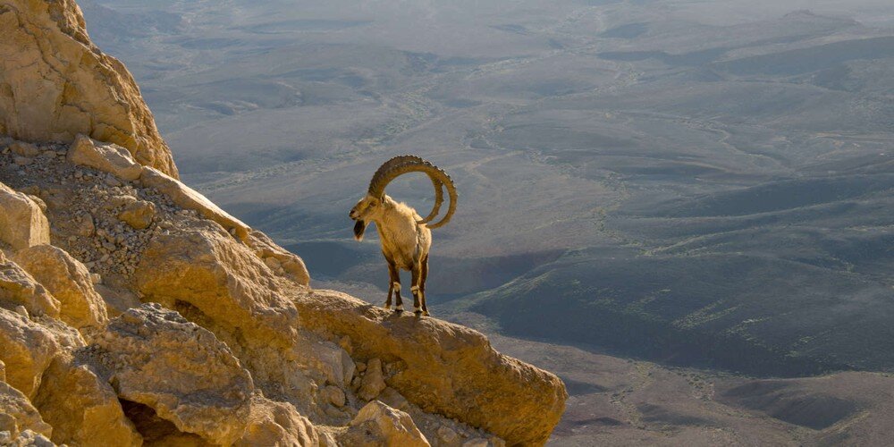 KODAK PIXPRO WPZ2 kozica górska aparat z zoomem optycznym 4x do zdjęć w plenerze