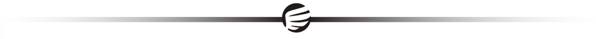 Czarna, pozioma linia z logo w kształcie stylizowanej litery \'e\' pośrodku.
