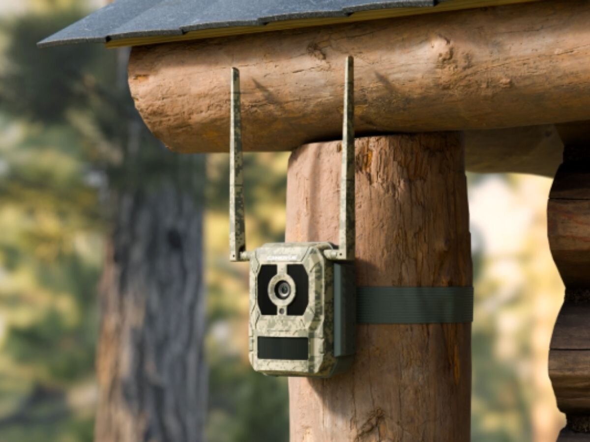 Fotopułapka REOLINK Camovue Talon Series S130, starlight, 4g lte, gps, ruch, fotopułapka zamontowany do filaru domu w lesie