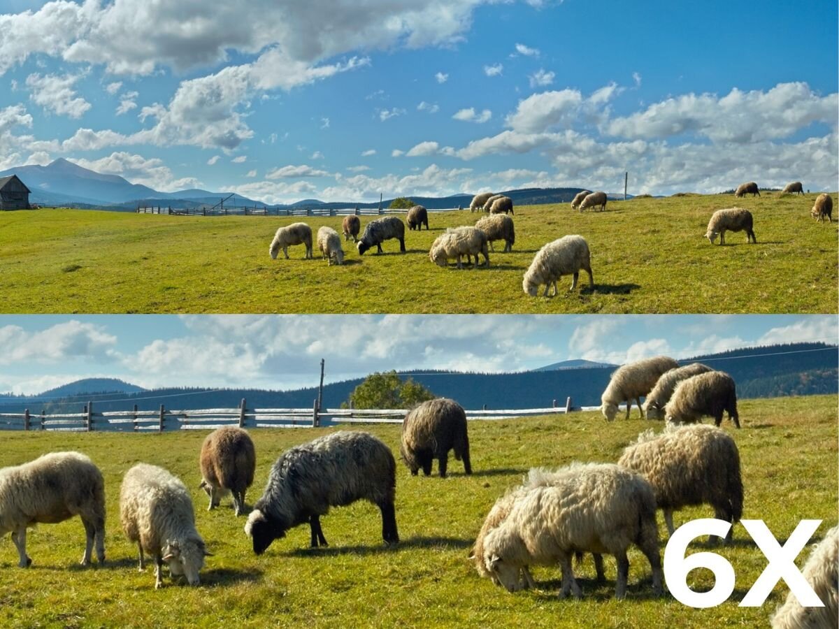 Fotopułapka REOLINK Camovue Talon Series S130, filtrowanie, przeglądanie, momenty, skutecznie, 2 zdjęcia w 1 pokazujące padok z owcami i 6 krotnym zbliżeniem kamery fotopułapki