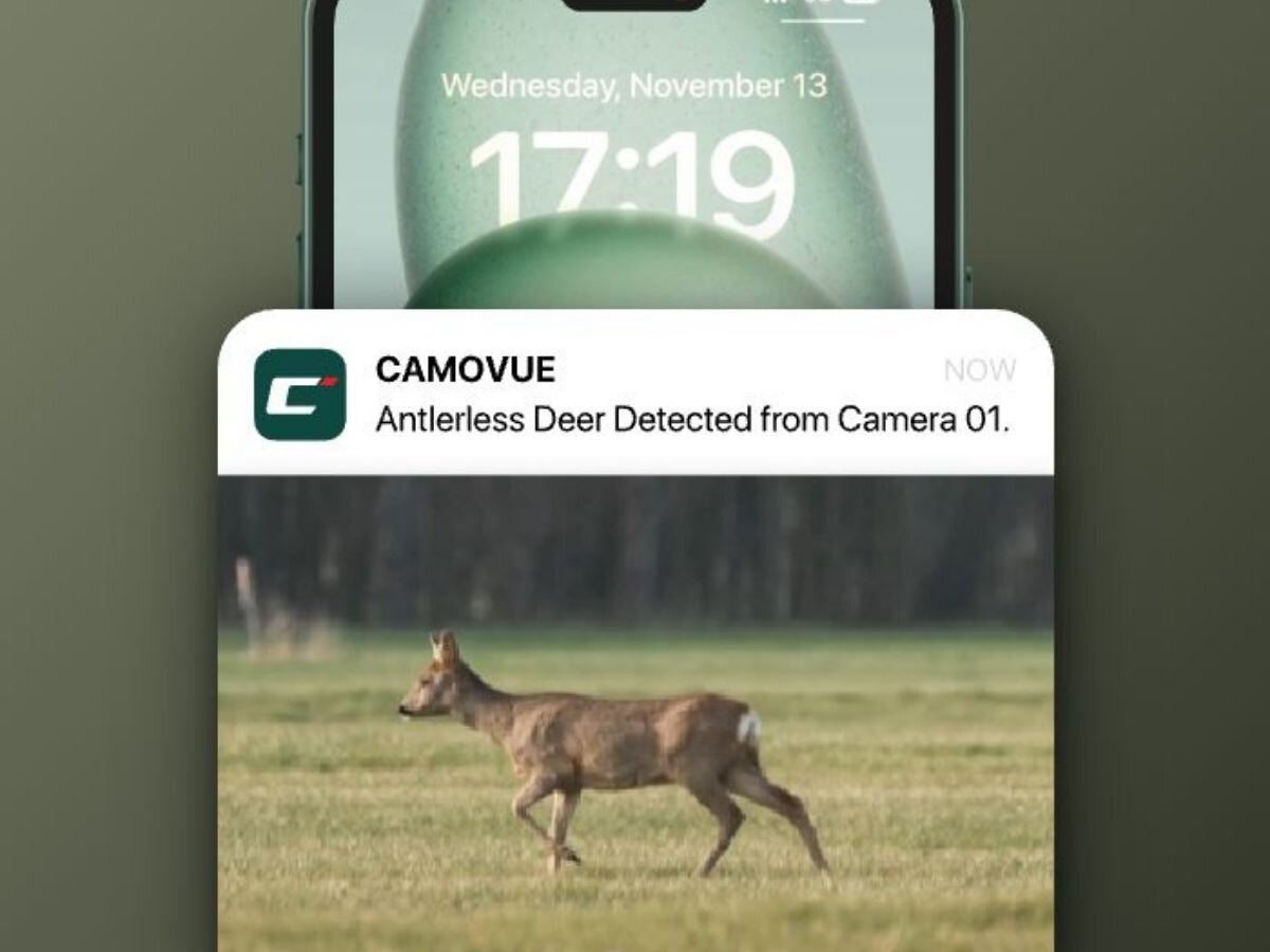 Fotopułapka REOLINK Camovue Talon Series S130, wykrycie, pojazd, zwierzyna, informacje, alerty, na oliwkowym tle smartfon z aplikacją camovue