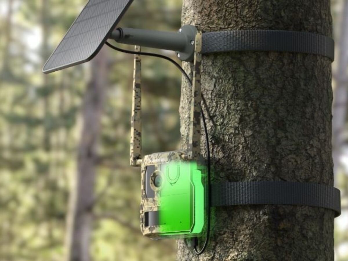 Fotopułapka REOLINK Camovue Talon Series S130, panel, słoneczne, zasilanie, teren, w tle las, na pierwszym planie fotopułapka zamontowana opaską do drzewa oraz panel fotowoltaiczny