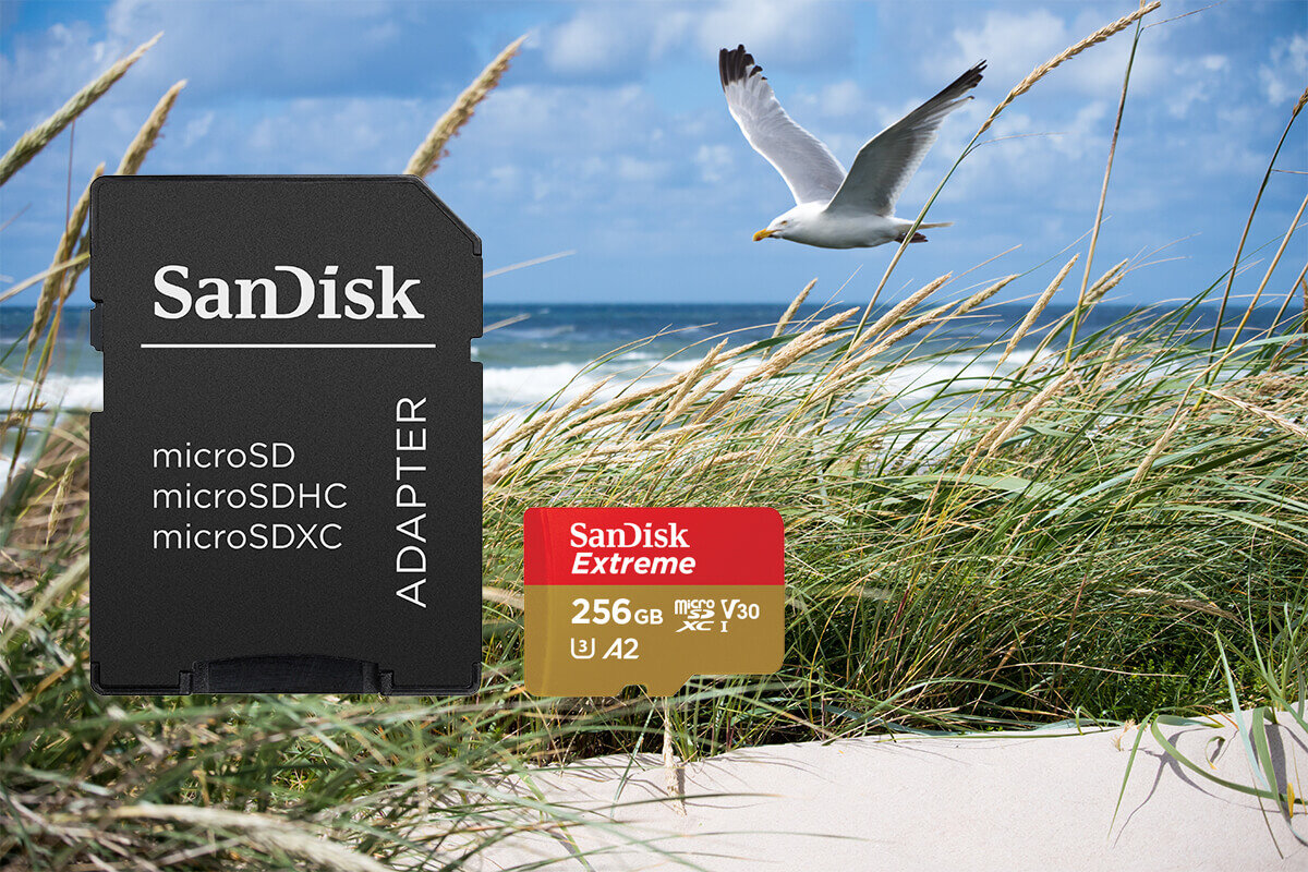 karta sandisk zdjecie lifestyle