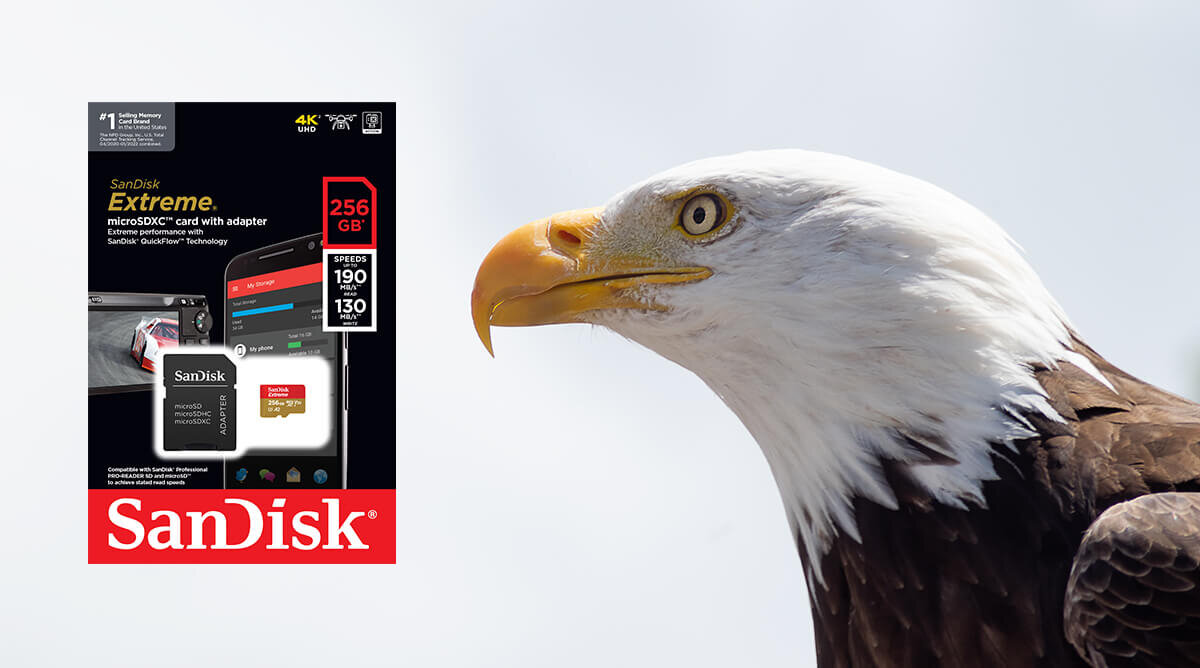 karta sandisk zdjecie lifestyle