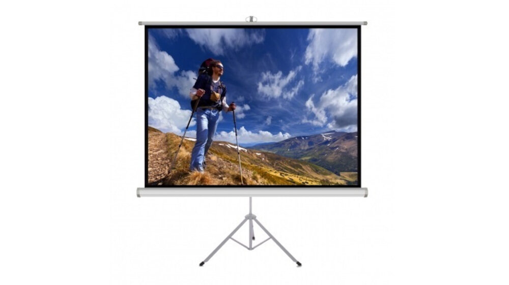 Ekran projekcyjny ART Matt White TS-60 152x152  - Wytrzymały ekran projekcyjny