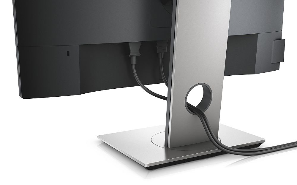 Monitor DELL P2317H - Szeroka Paleta Kolorów