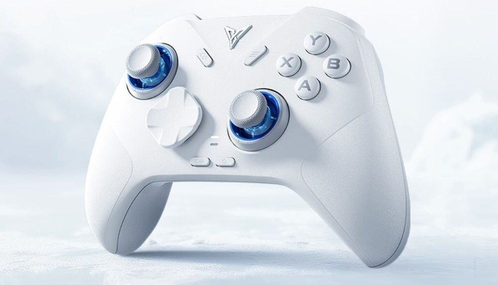 Kontroler FLYDIGI Direwolf 4 Biały
                kontroler na jasnym tle