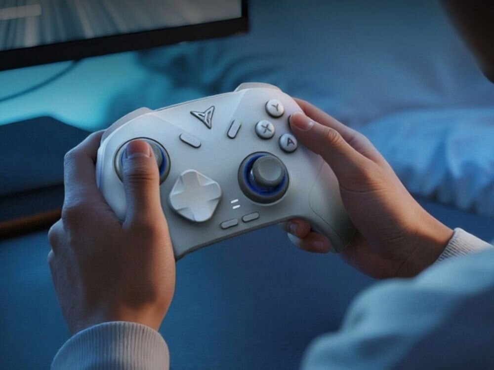 Kontroler FLYDIGI Direwolf 4 Biały
                kontroler w dłoniach kompatybilność pc konsole urządzenia mobilne smart tv stabilne połączenie