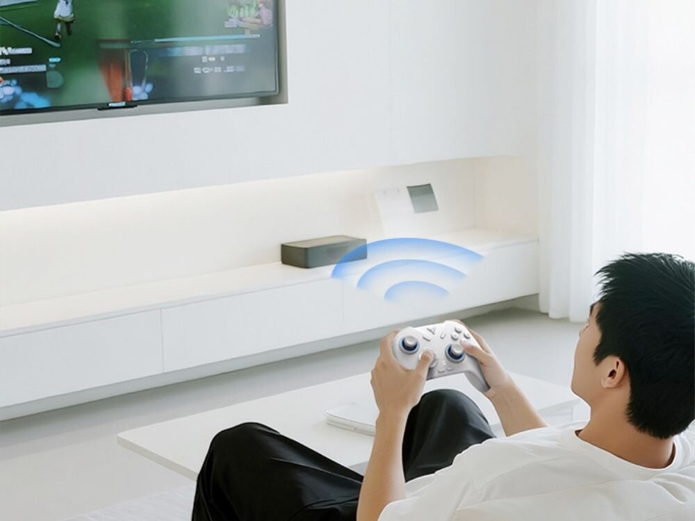 Kontroler FLYDIGI Direwolf 4 Biały
                kontroler w dłoni ergonomiczna konstrukcja profilowane uchwyty układ przycisków