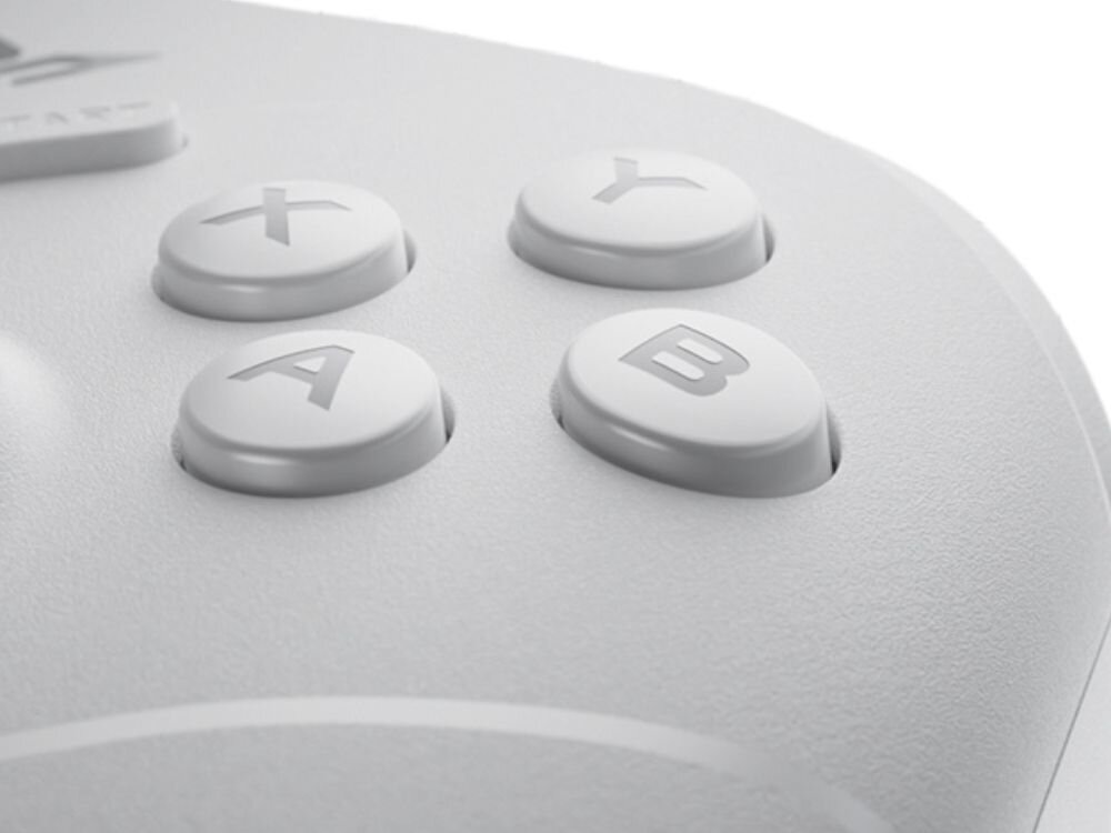 Kontroler FLYDIGI Direwolf 4 Biały
                przyciski kontrolera wysoka żywotność wbudowany akumulator pojemność