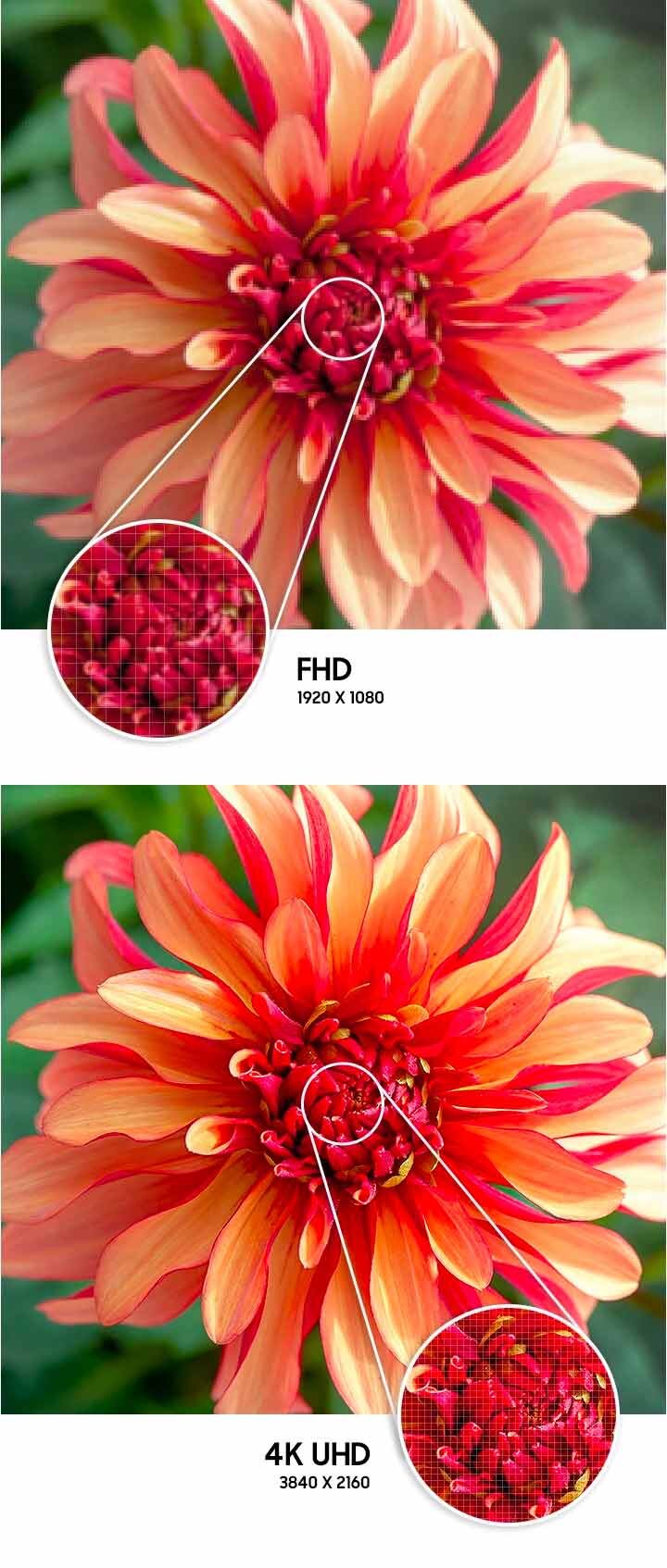 phpOvgHkV 4kmob phpOvgHkV 4kmob