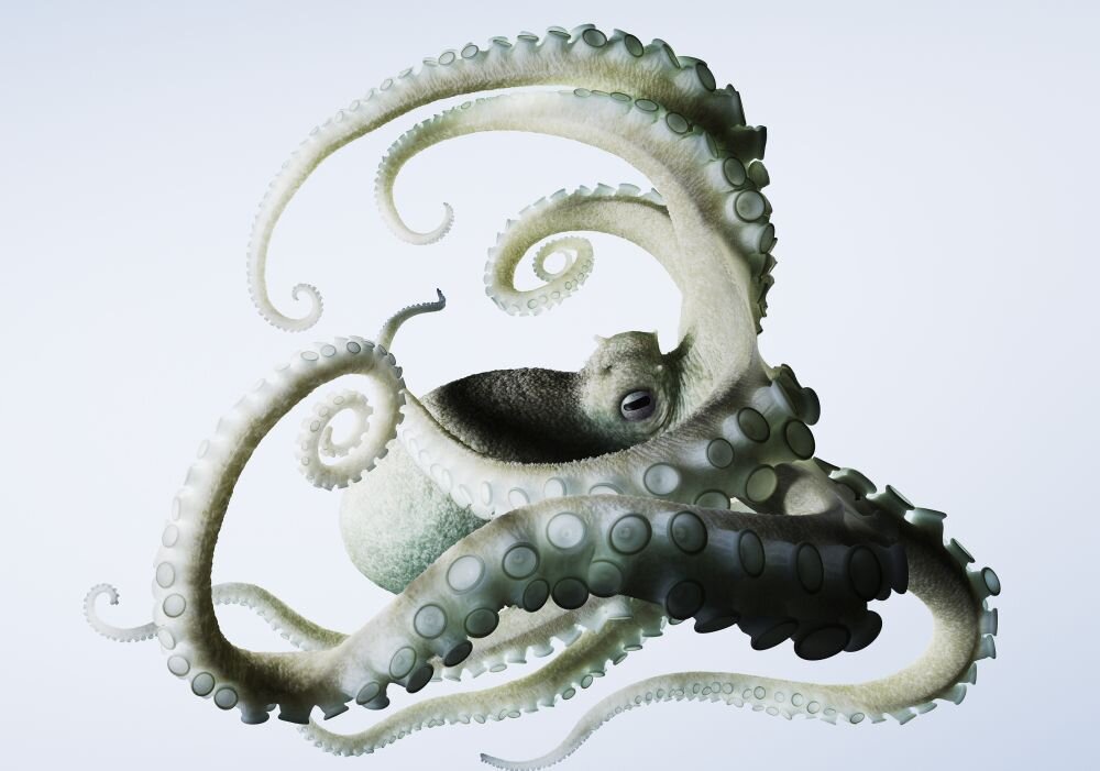 Smartfon NOTHING Phone 2   ekran bateria aparat procesor ram pamięć pojemność rozdzielczość zdjęcia filmy opis dane cechy blokady system łączność wifi bluetooth obudowa szkło odporność porty muzyka transfer sieć przekątna matryca waga czujniki oled amoled ips