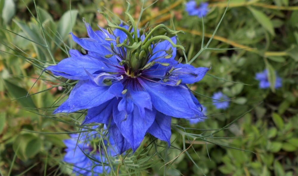 Aparat KODAK FZ43 zdjęcia obiektyw ekran wizjer ogniskowa przysłona migawka obudowa bateria zasilanie filmy nagrywanie rozdzielczość matryca rozmiar przekątna tryby iso montaż lampa światło przyciski sterowanie menu kontrast jasność balans bieli filtry cmos karta pliki format zapis seria